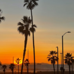 summer long beach