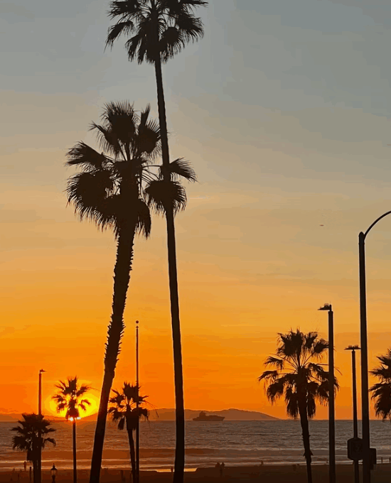 Switching Out Summer Gear? How to Store Your Beach Equipment Safely in Long Beach