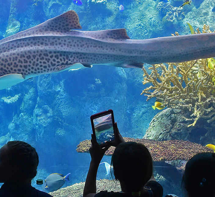 Don Temple Donates to the Aquarium of the Pacific